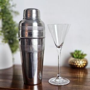 Grey Goose Vodka Stainless Steel Cocktail Shaker & Martini Glass Set Barware